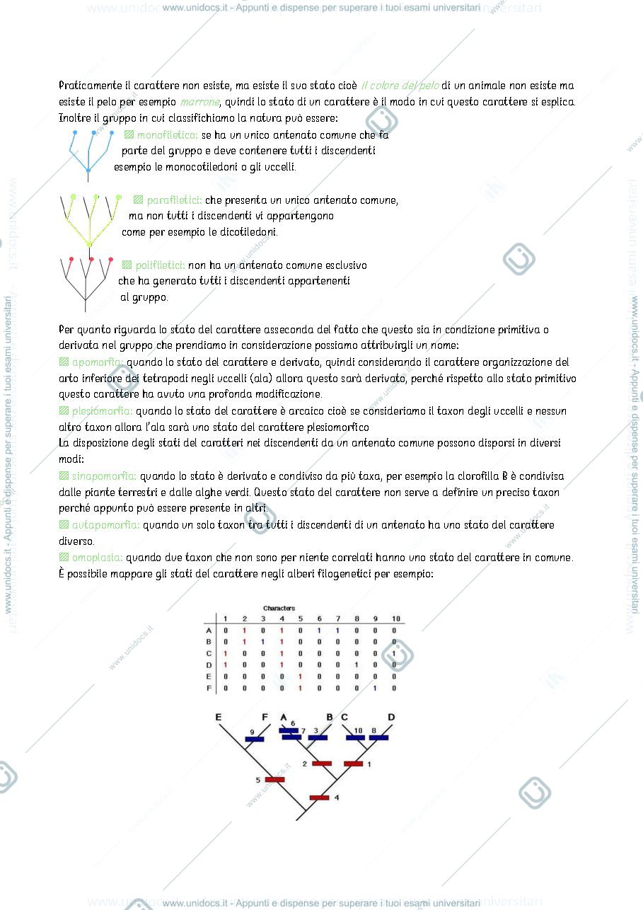 Anteprima pagina 3 — botanica sistematica