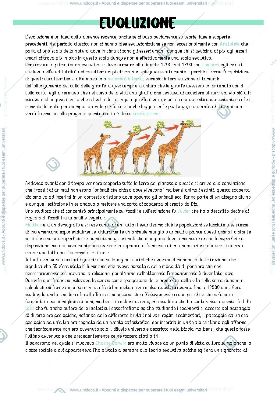 Anteprima pagina 4 — botanica sistematica