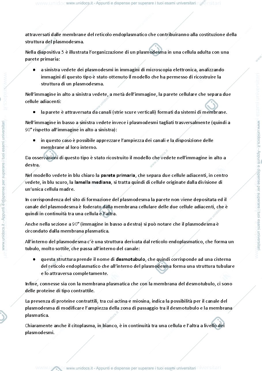 Anteprima pagina 2 — botanica generale