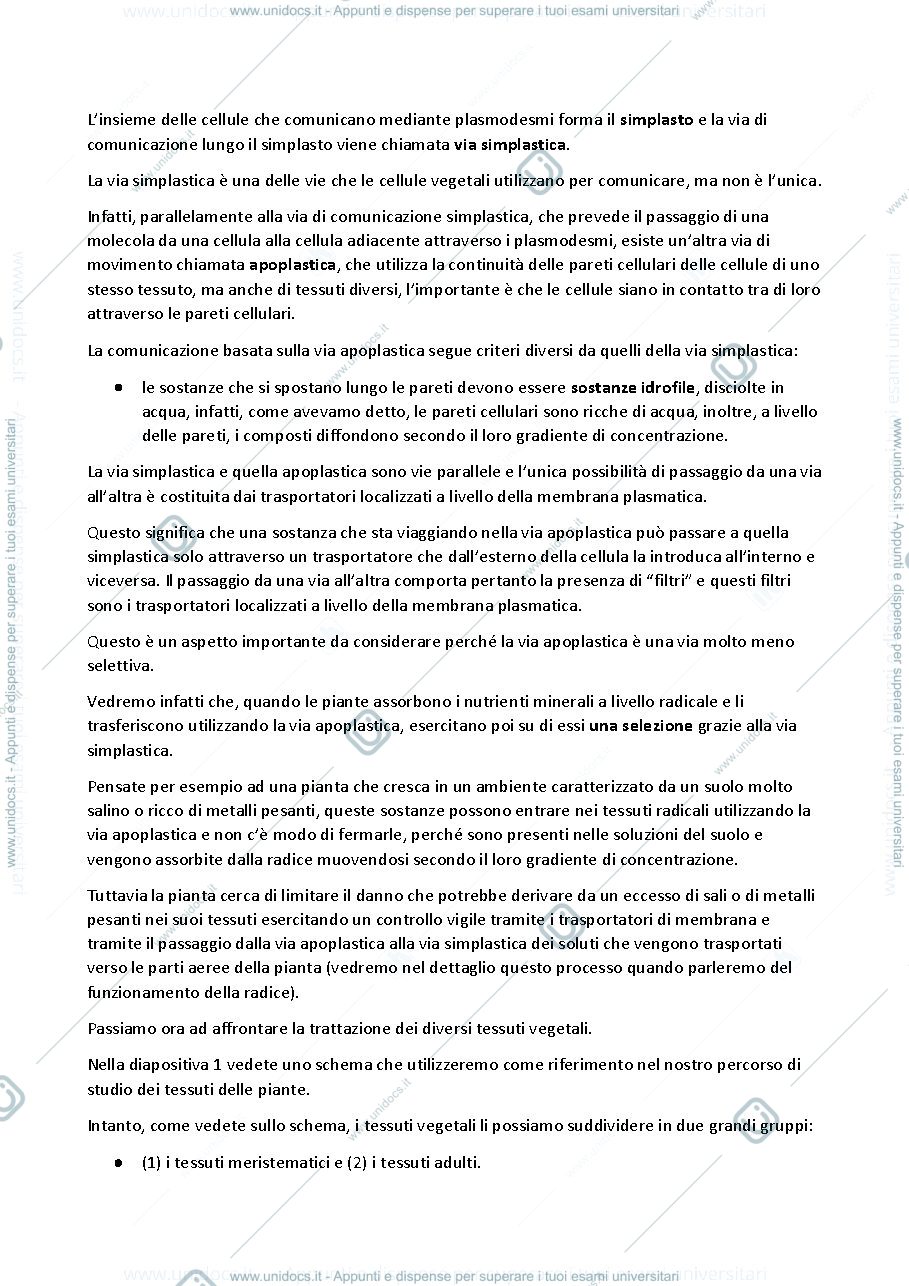 Anteprima pagina 3 — botanica generale