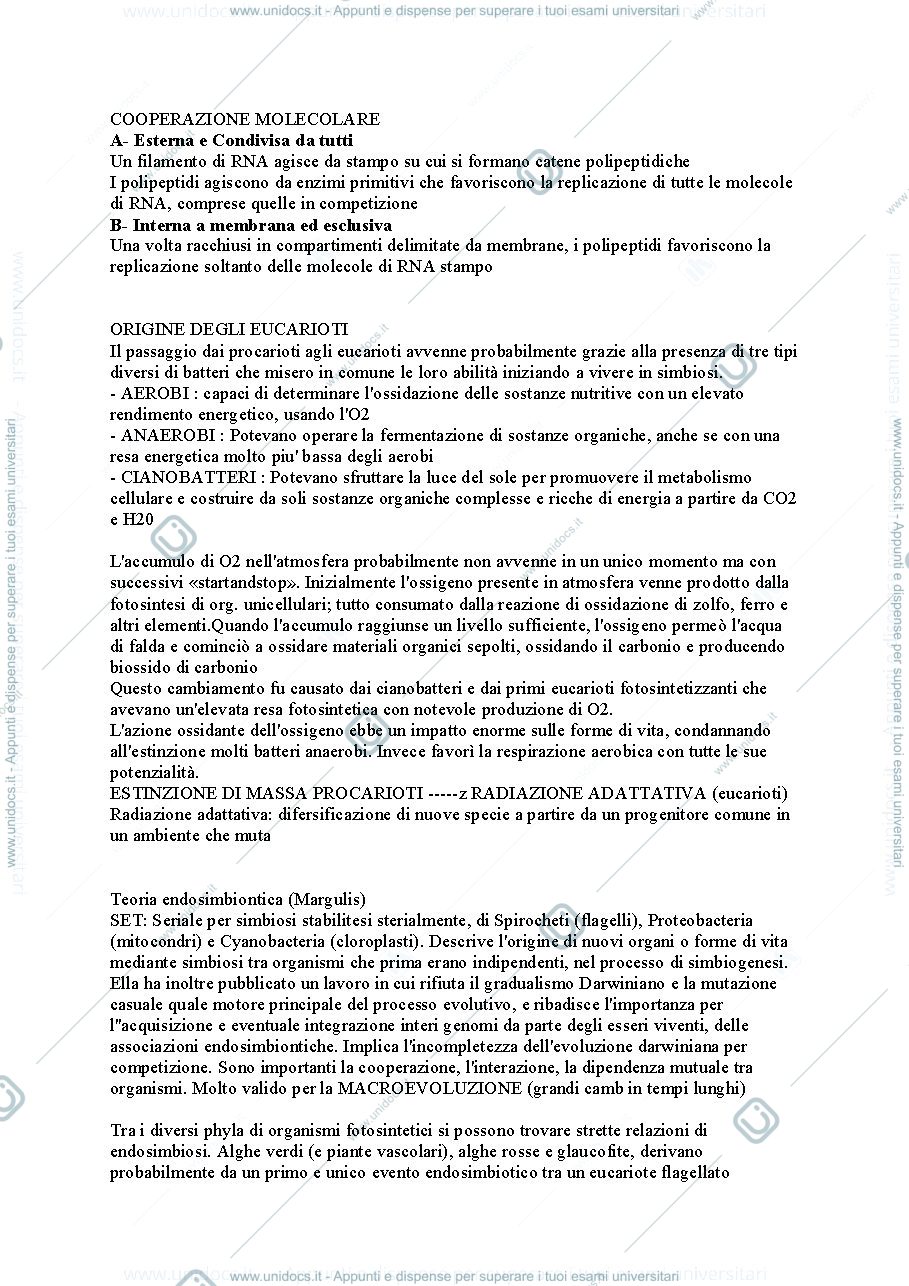 Anteprima pagina 1 — Botanica sistematica