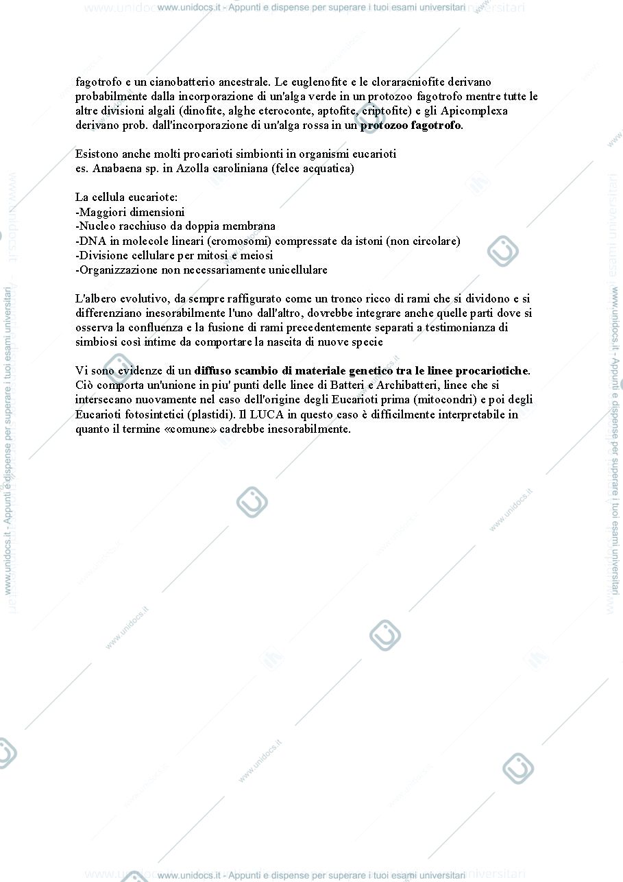 Anteprima pagina 2 — Botanica sistematica