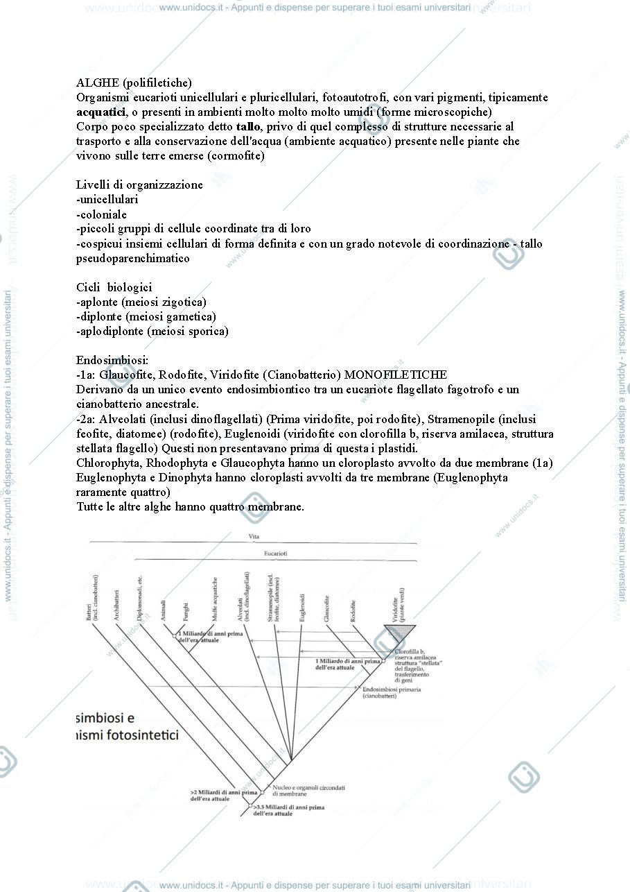 Anteprima pagina 4 — Botanica sistematica