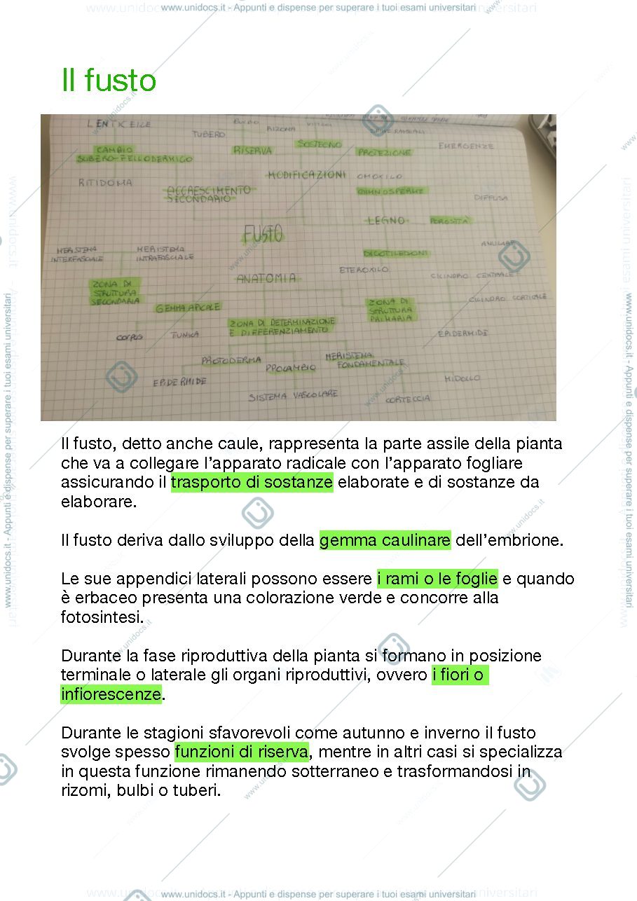 Anteprima pagina 1 — Riassunti sul fusto