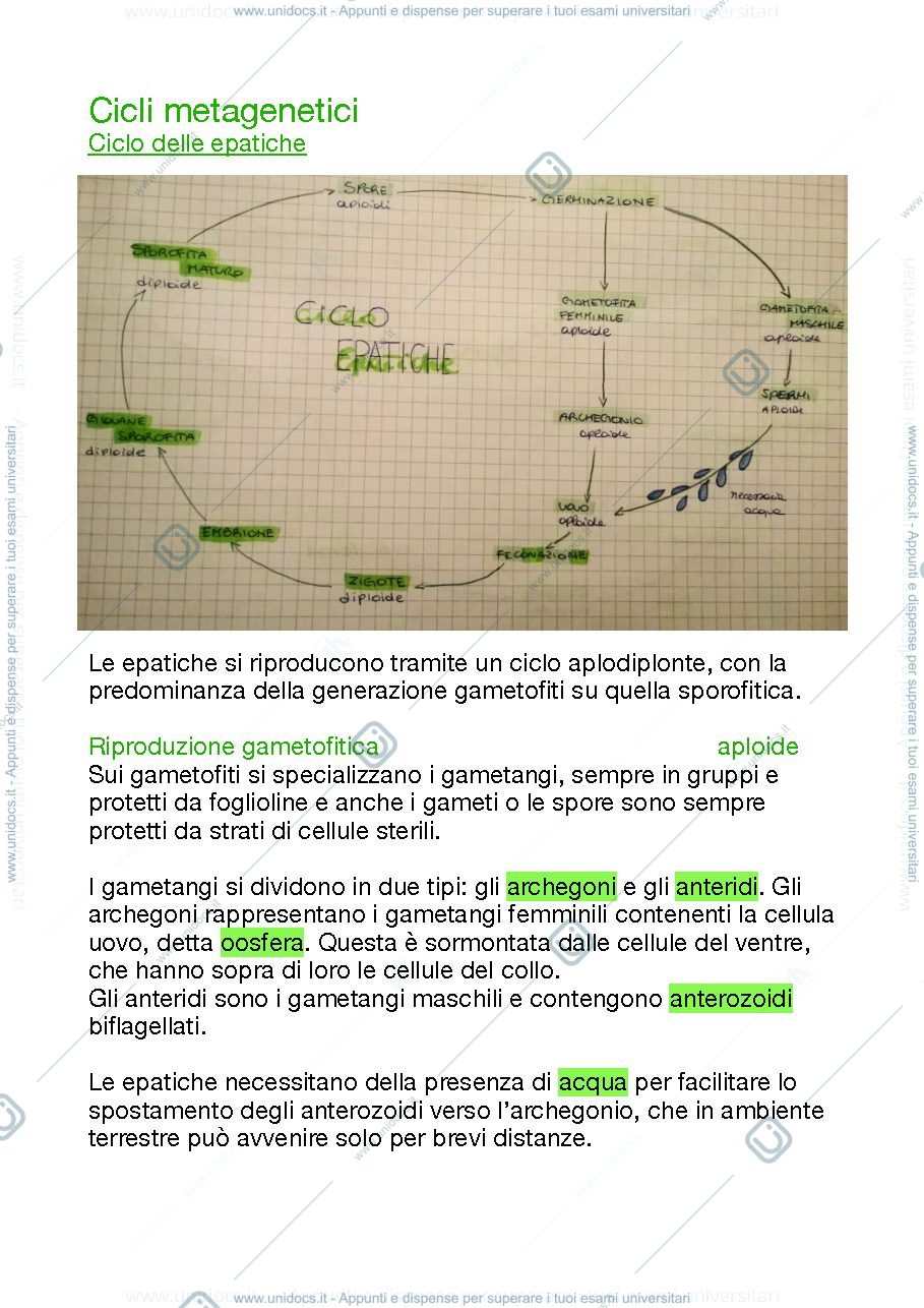 Anteprima pagina 1 — Cicli Metagenetici