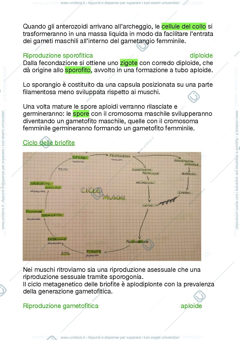 Anteprima pagina 2 — Cicli Metagenetici