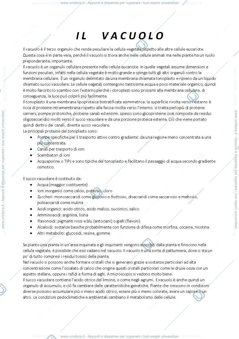 Anteprima pagina 1 — Vacuolo