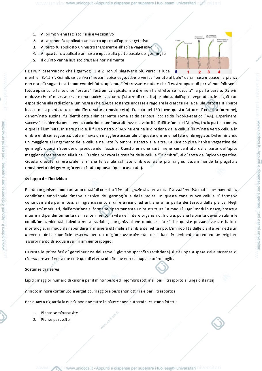 Anteprima pagina 3 — Botanica generale e sistematica