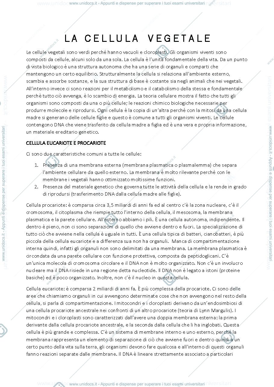 Anteprima pagina 1 — Cellula vegetale