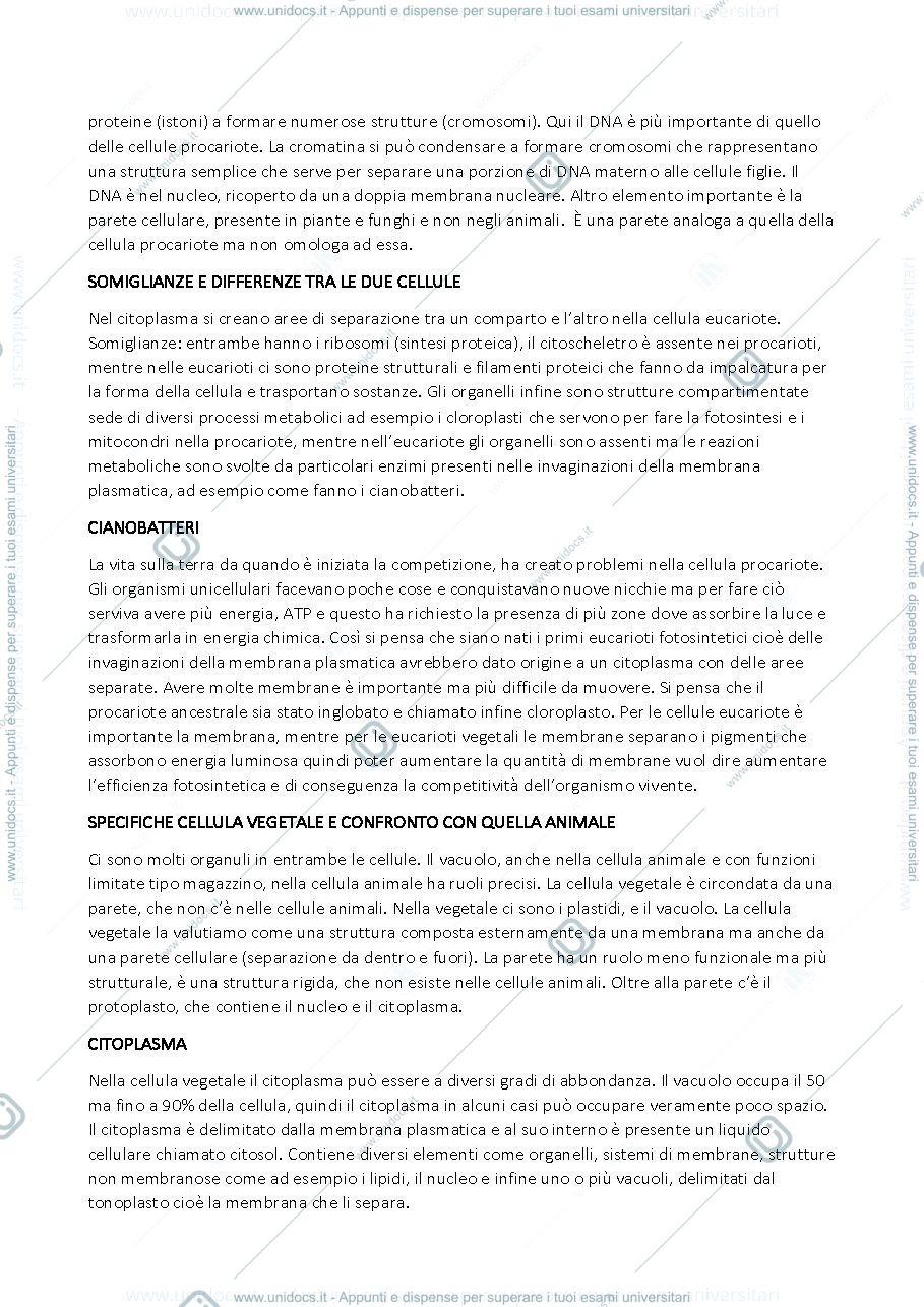 Anteprima pagina 2 — Cellula vegetale