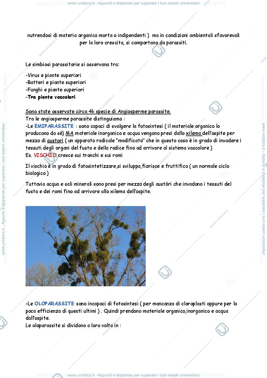 Anteprima pagina 2 — Interazione organismo-organismo 