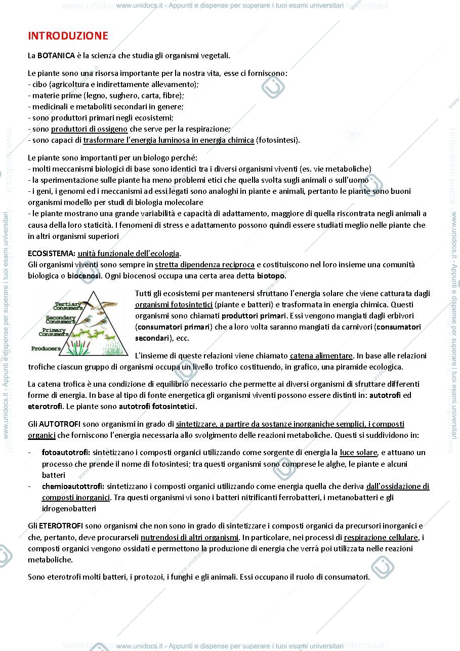 Anteprima pagina 2 — BOTANICA