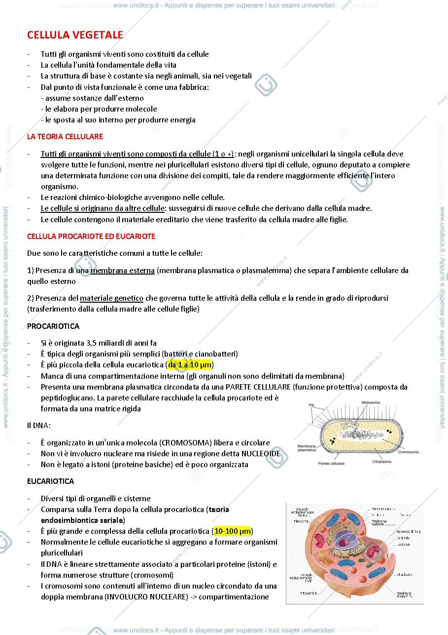 Anteprima pagina 3 — BOTANICA