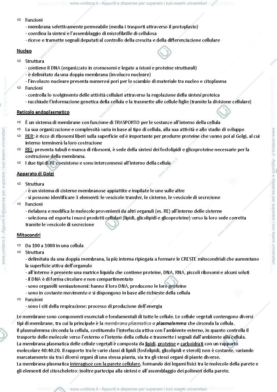 Anteprima pagina 5 — BOTANICA