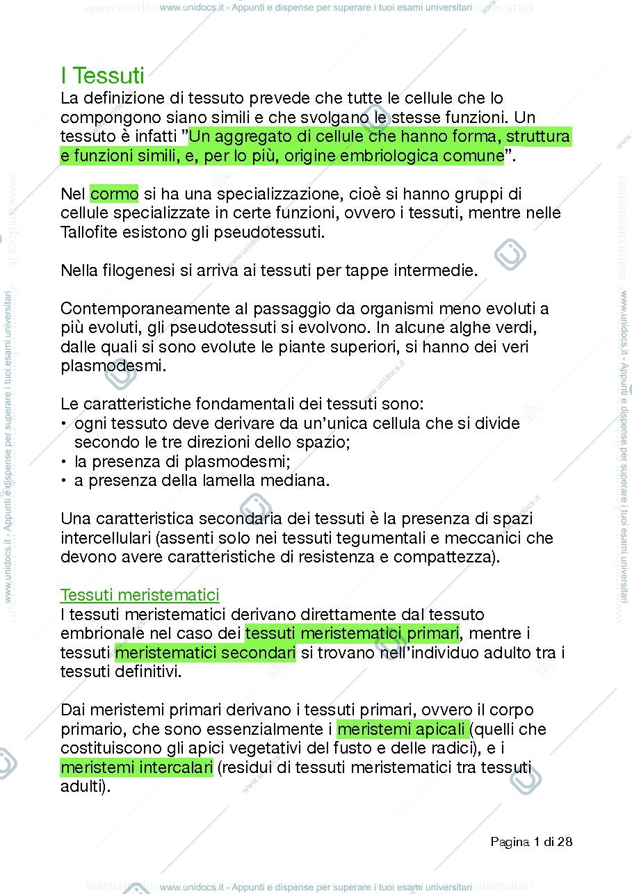 Anteprima pagina 1 — Tessuti vegetali