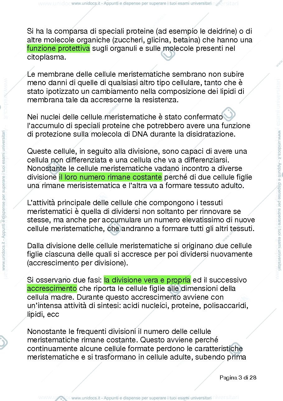 Anteprima pagina 3 — Tessuti vegetali