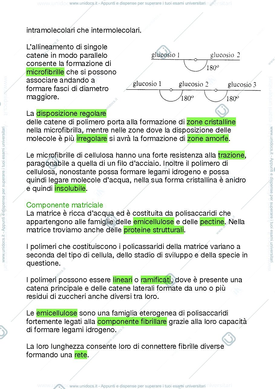 Anteprima pagina 2 — La parete cellulare