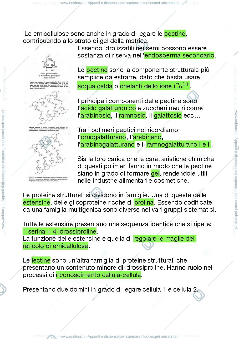 Anteprima pagina 3 — La parete cellulare