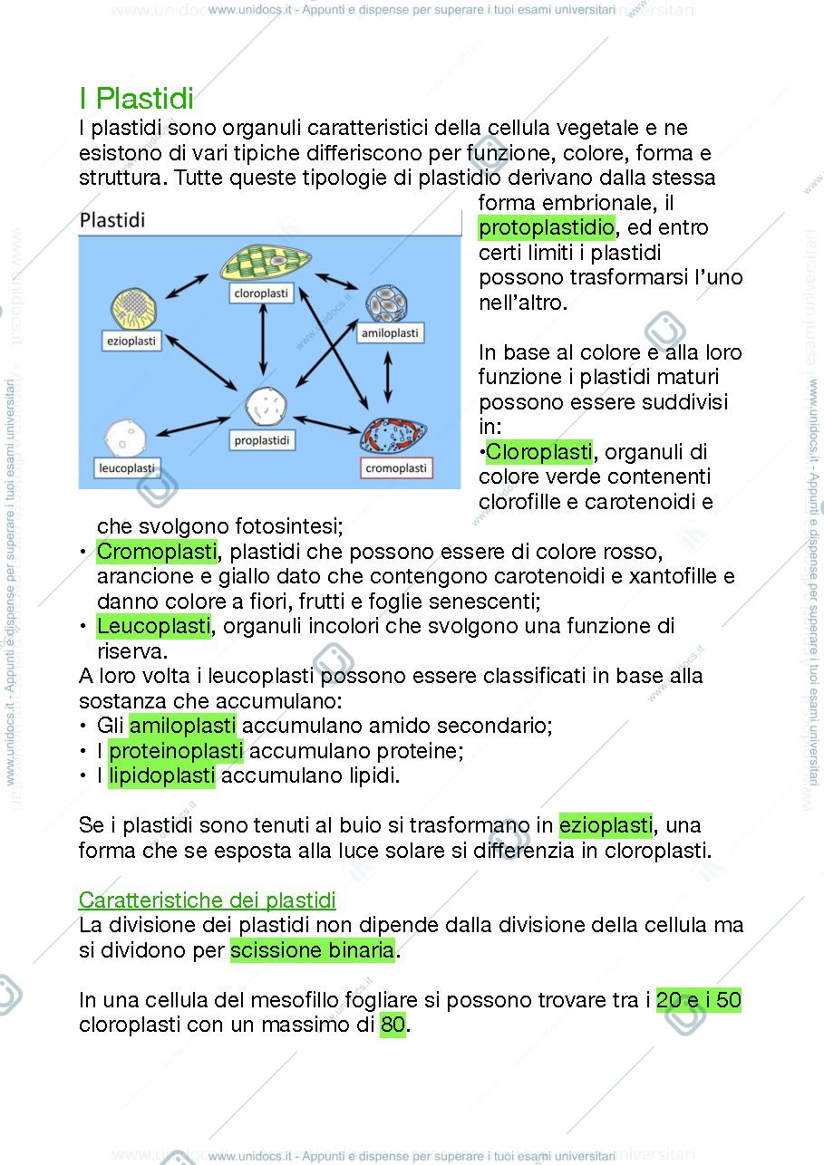 Anteprima pagina 1 — I plastidi