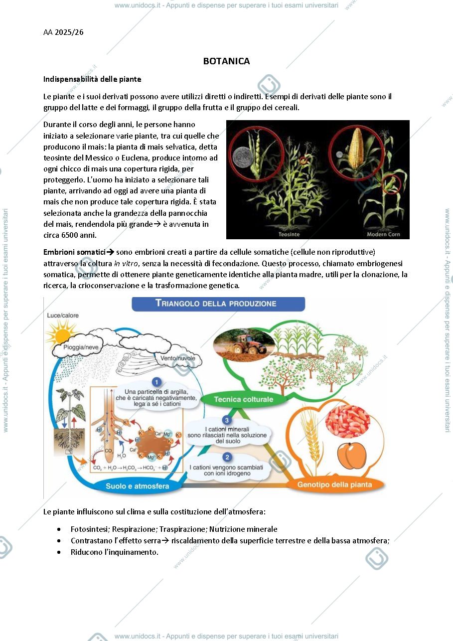 Anteprima pagina 1 — Appunti fino alla lignificazione