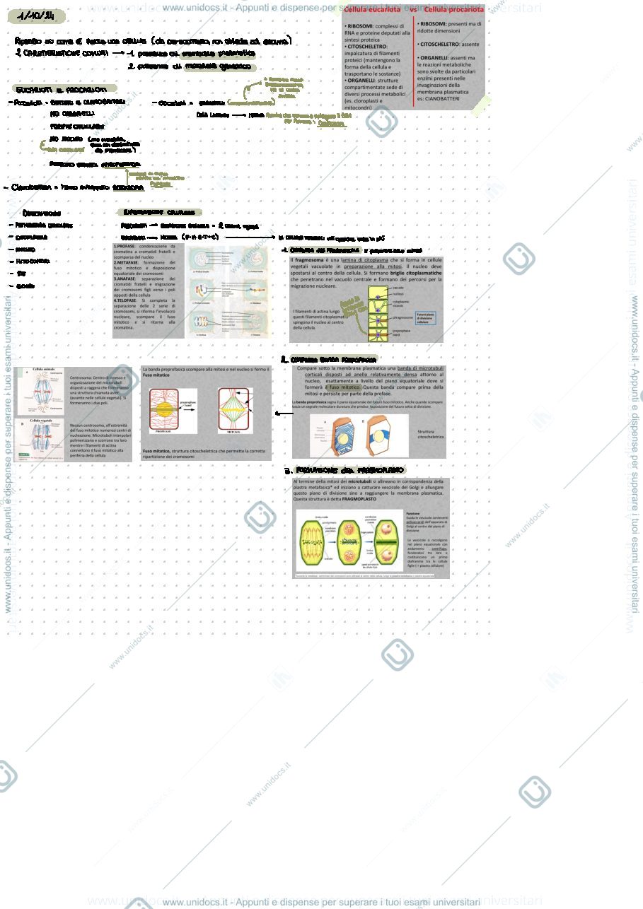 Anteprima pagina 2 — Botanica appunti lezione 