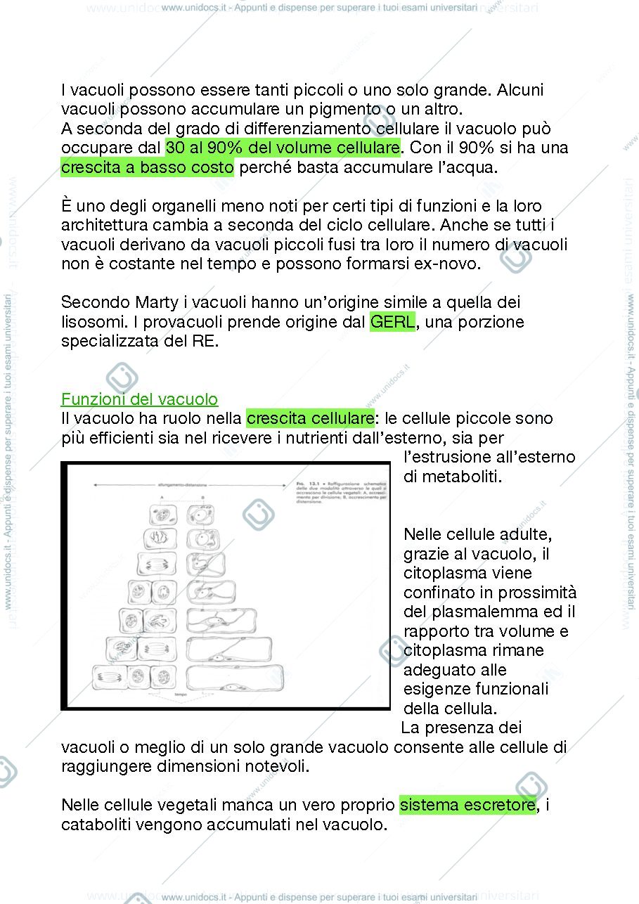 Anteprima pagina 2 — I Vacuoli