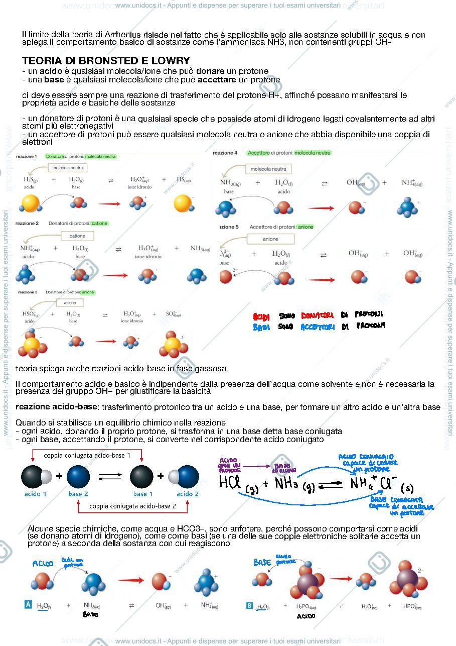 Anteprima pagina 2 — acids and bases