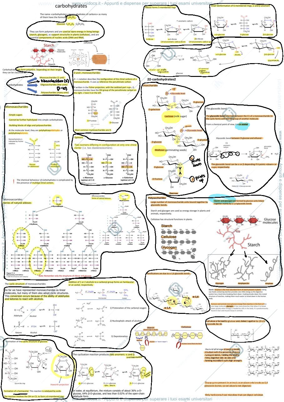 Anteprima pagina 1 — biochemistry