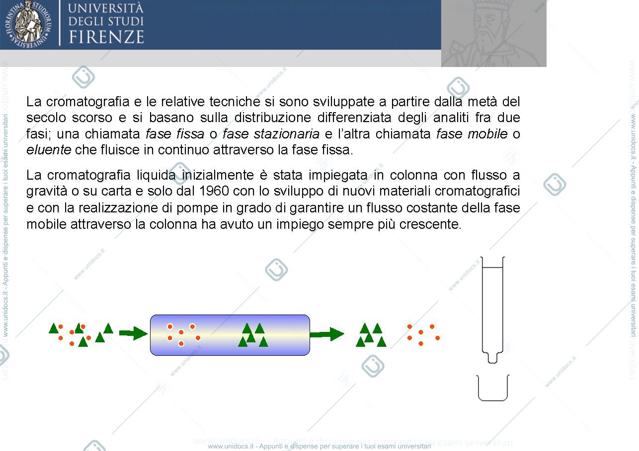 Anteprima pagina 3 — tecniche cromatografiche 