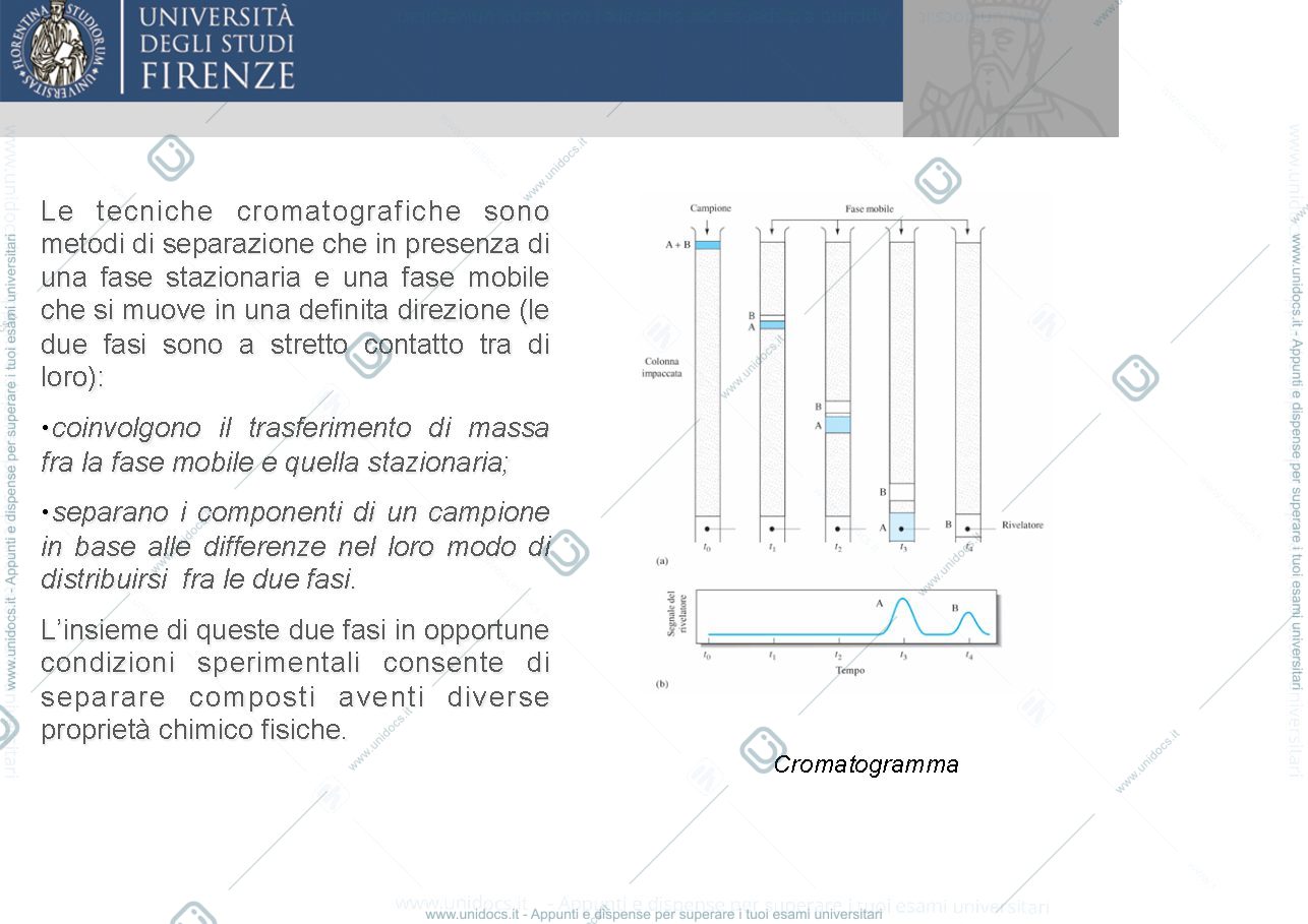 Anteprima pagina 4 — tecniche cromatografiche 