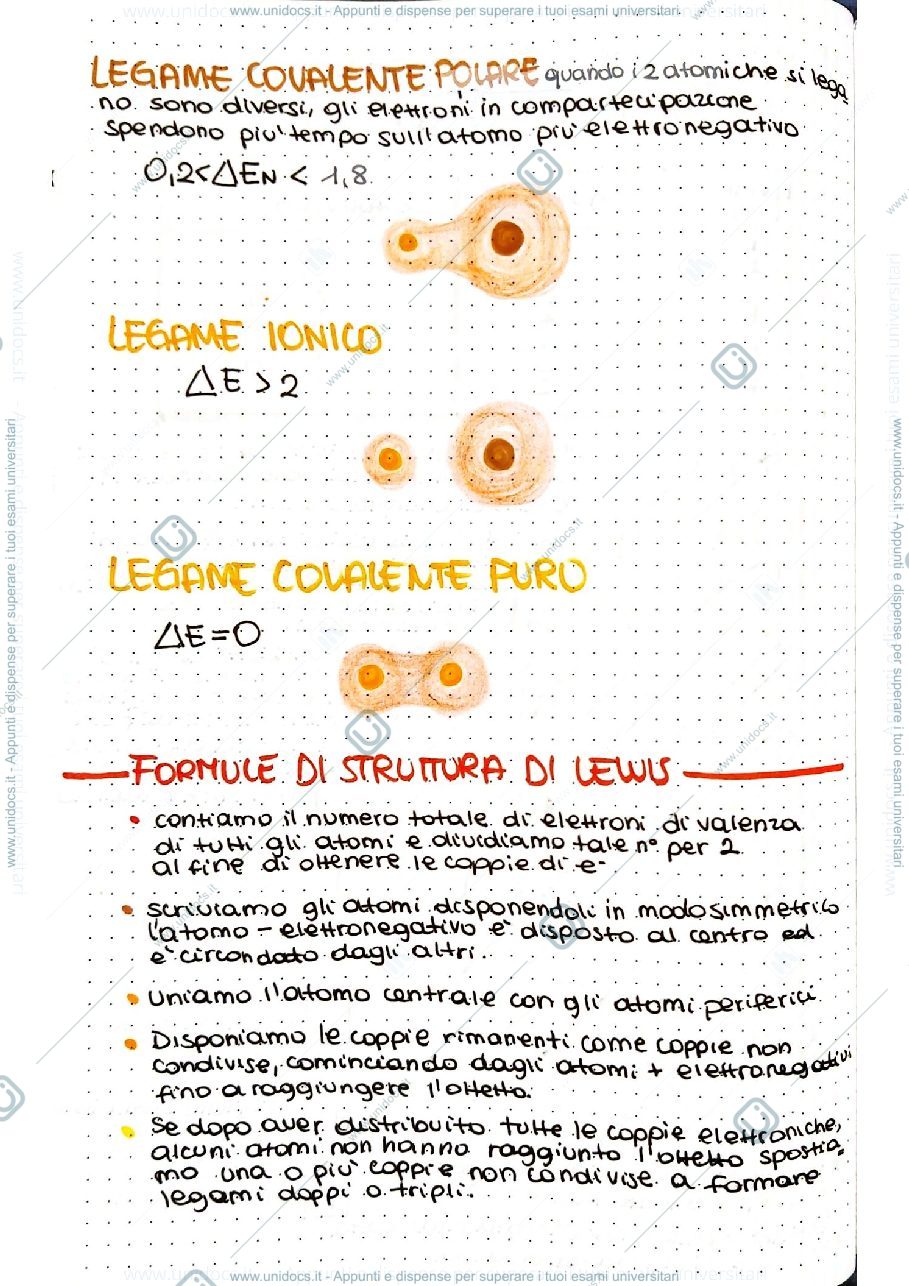 Anteprima pagina 4 — Chimica 
