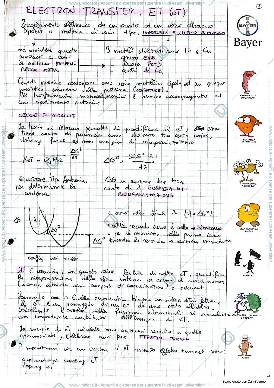 Anteprima pagina 1 — Appunti chimica bioinorganica