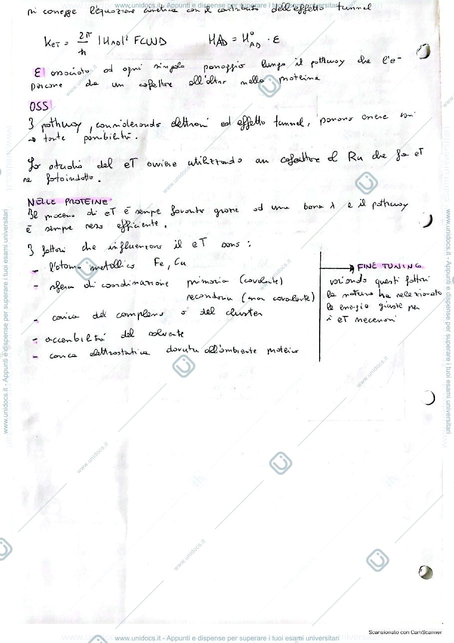 Anteprima pagina 2 — Appunti chimica bioinorganica
