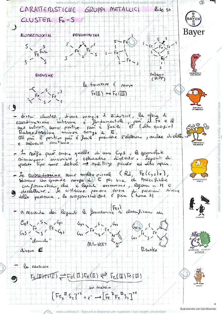 Anteprima pagina 3 — Appunti chimica bioinorganica