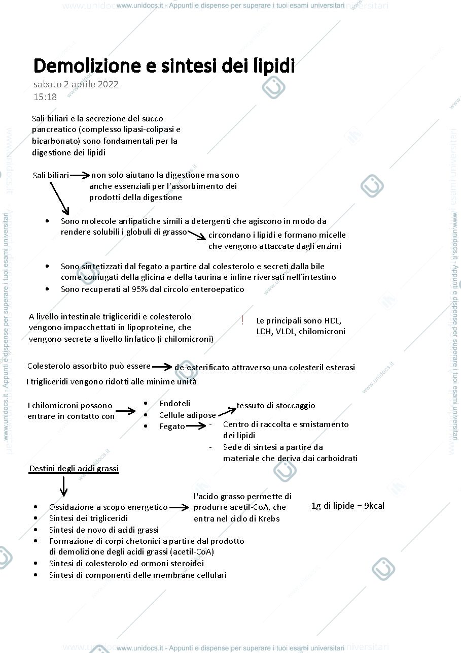 Anteprima pagina 1 — Biochimica