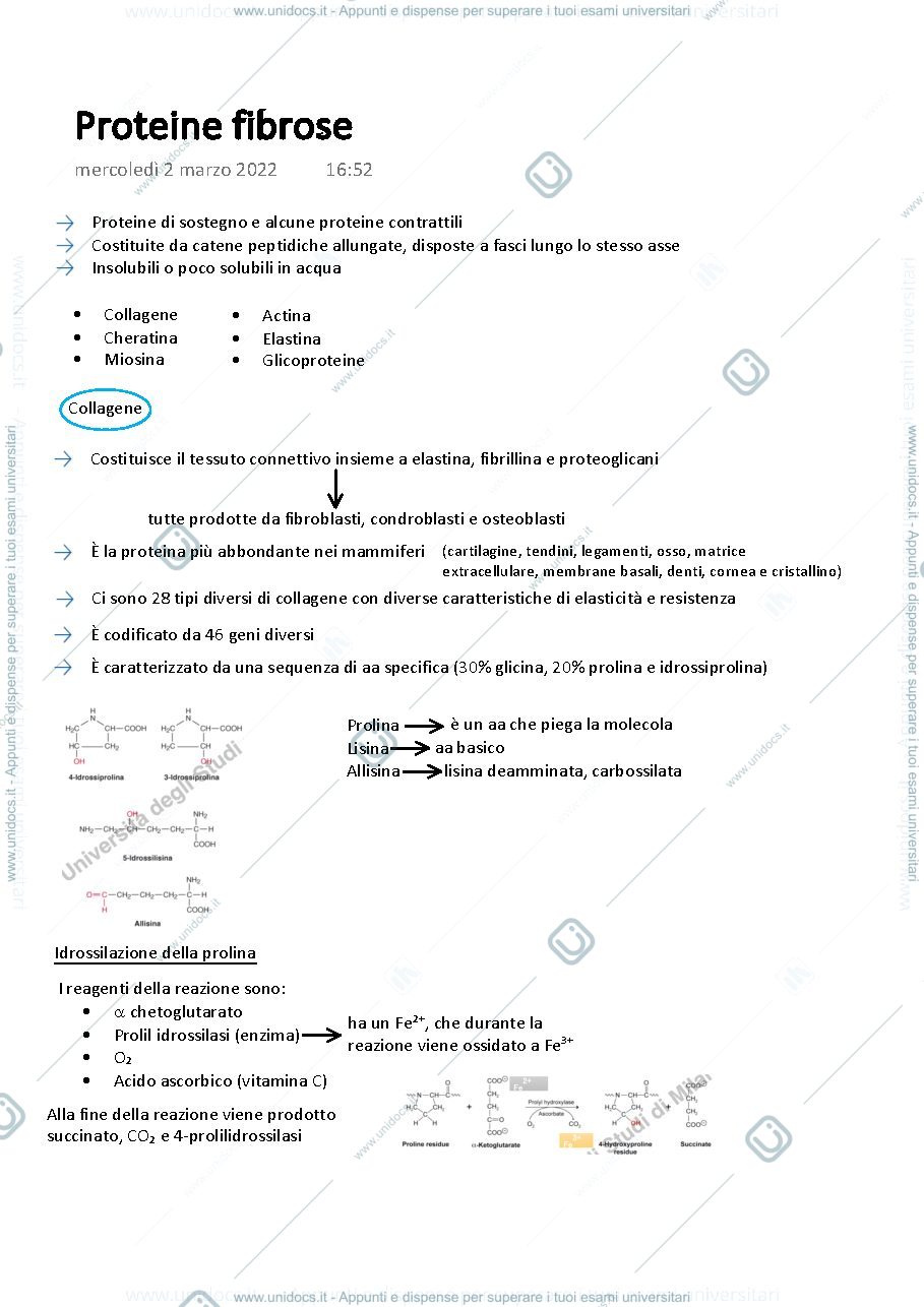 Anteprima pagina 1 — Biochimica
