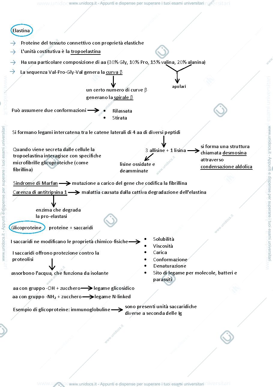 Anteprima pagina 3 — Biochimica