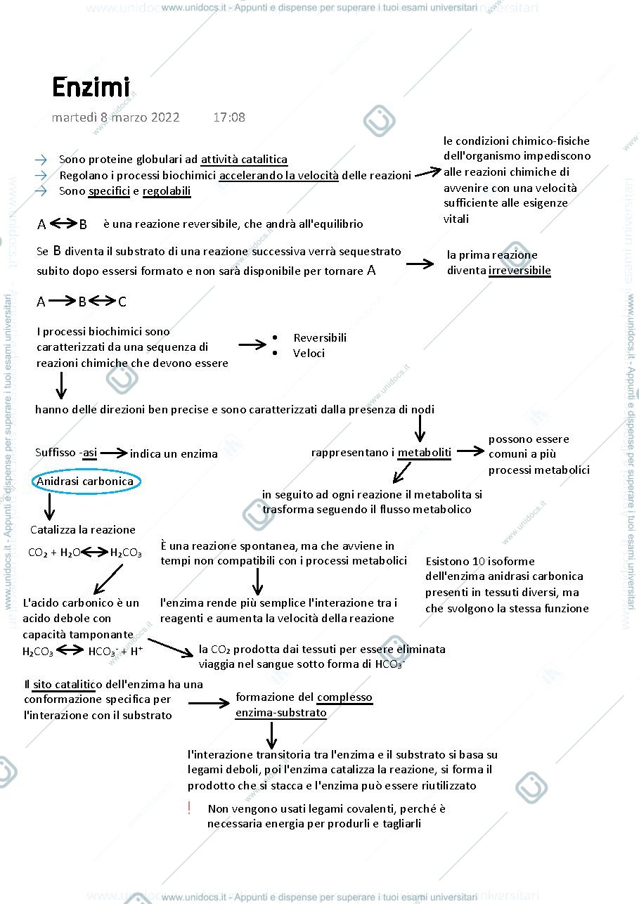 Anteprima pagina 4 — Biochimica