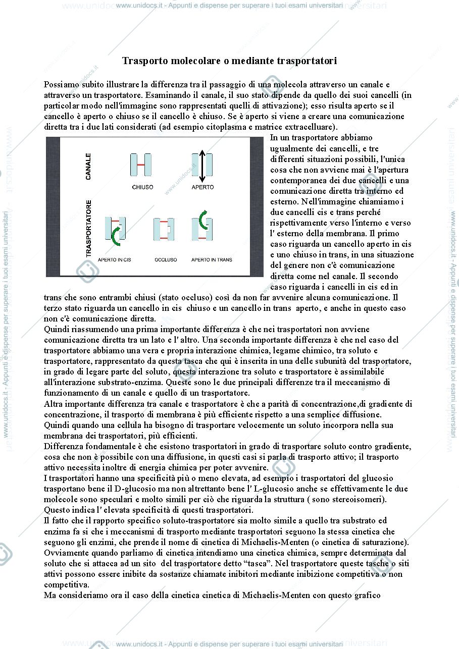 Anteprima pagina 1 — Trasporto molecolare