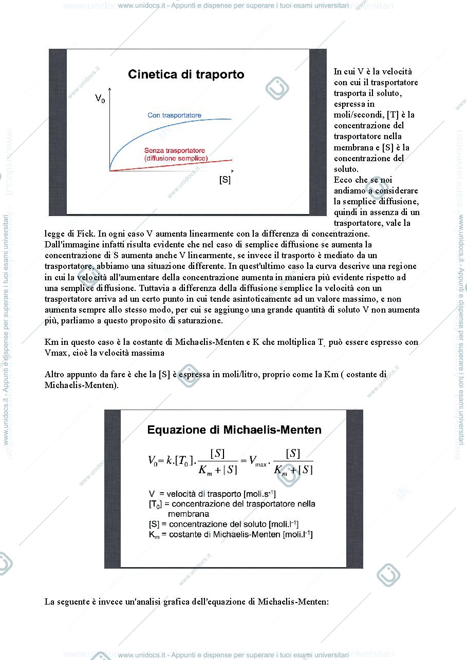 Anteprima pagina 2 — Trasporto molecolare