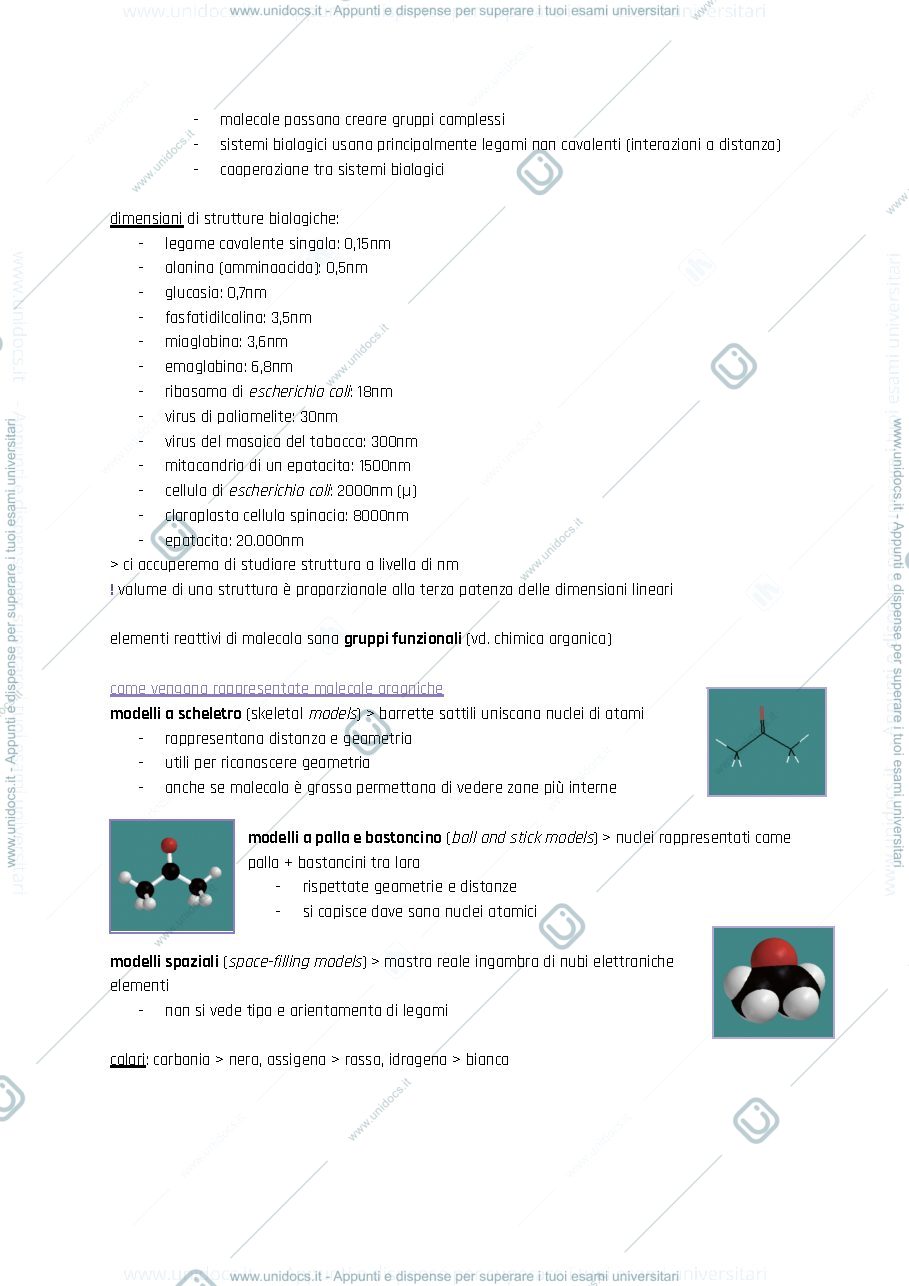 Anteprima pagina 4 — Chimica biologica