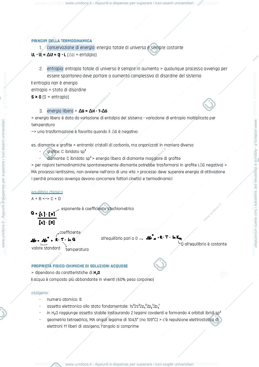 Anteprima pagina 5 — Chimica biologica