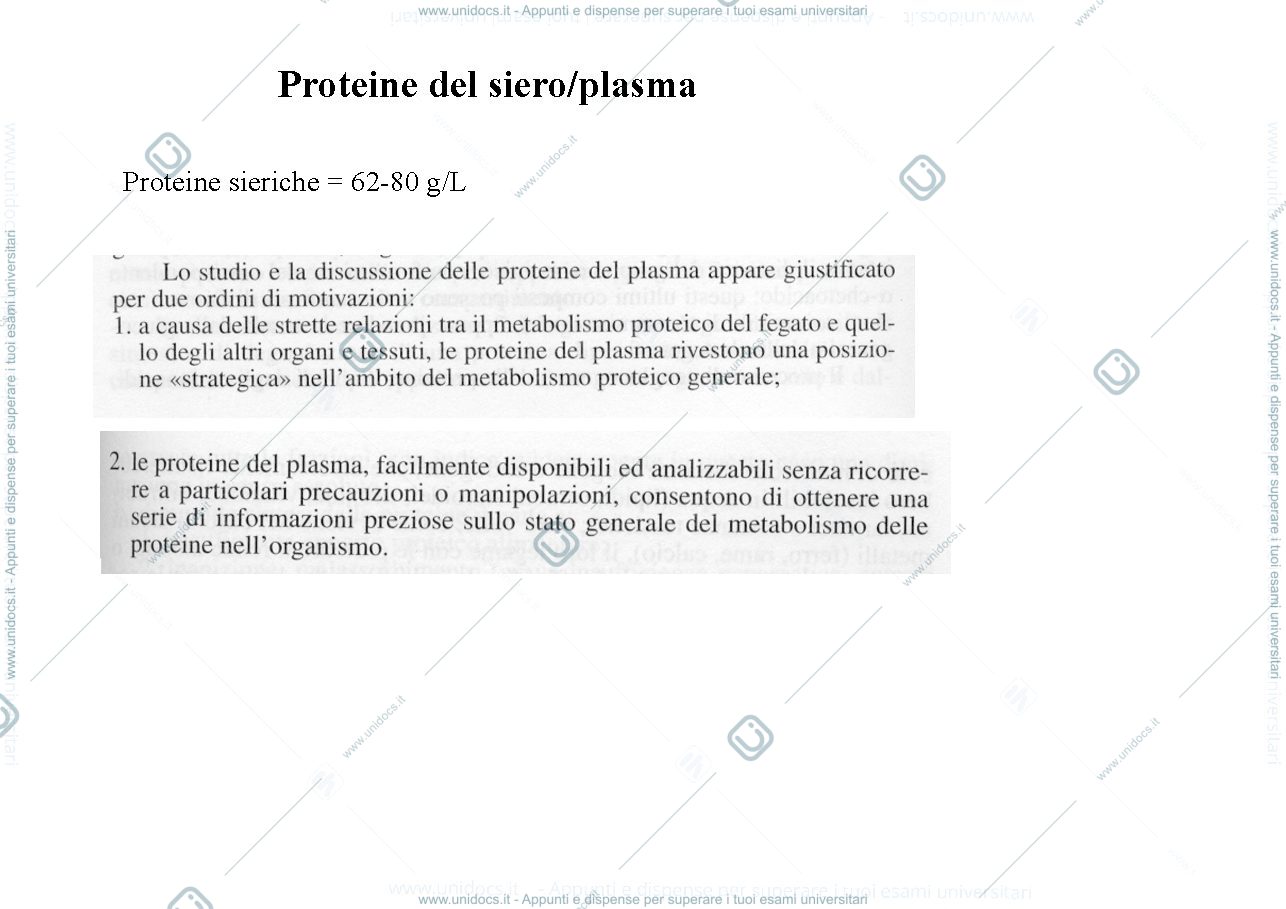 Anteprima pagina 3 — Proteine