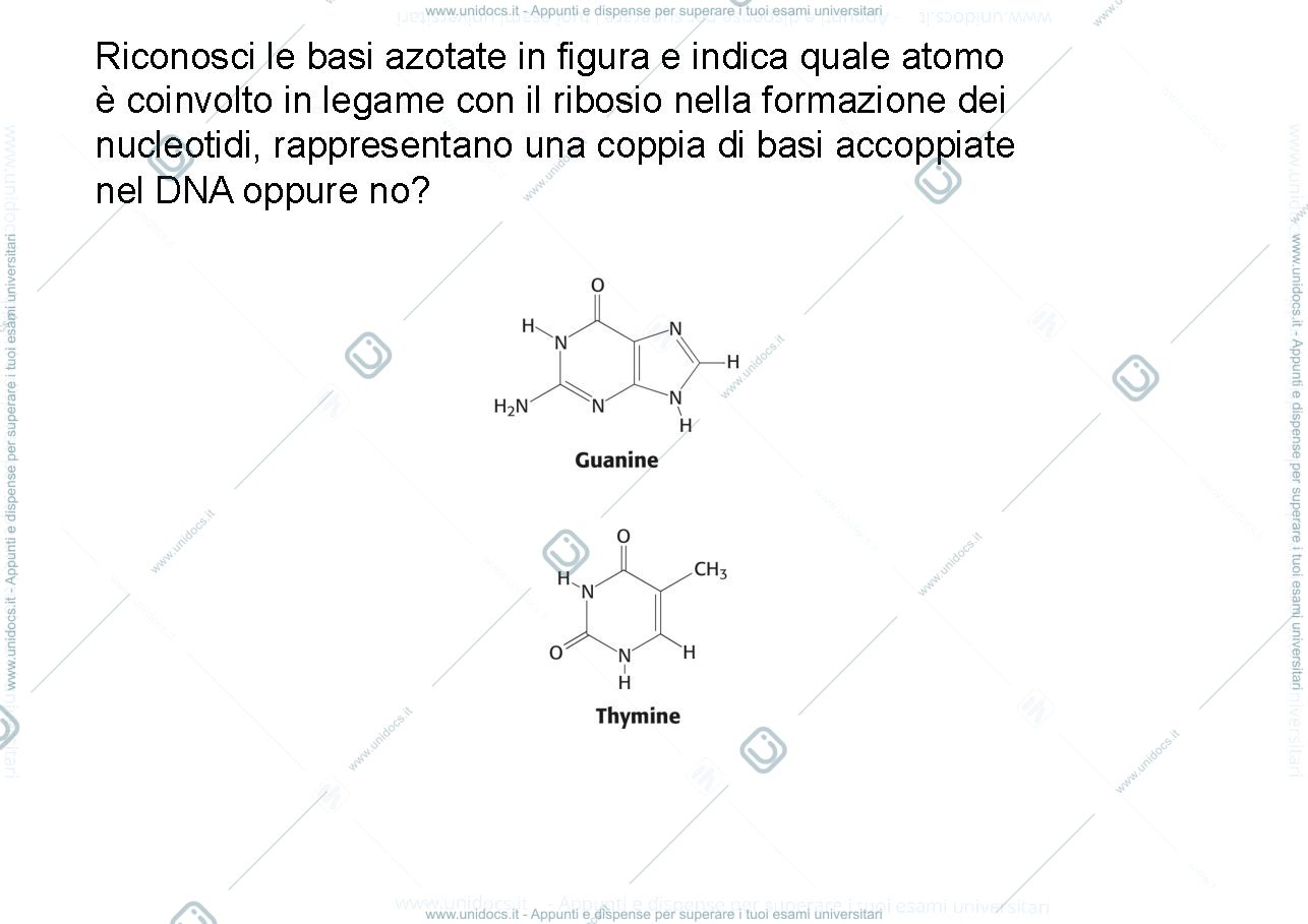 Anteprima pagina 1 — domande