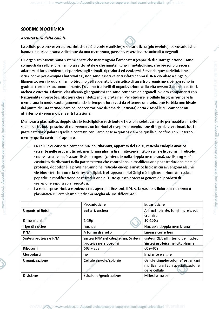 Anteprima pagina 1 — riassunti di chimica biologica
