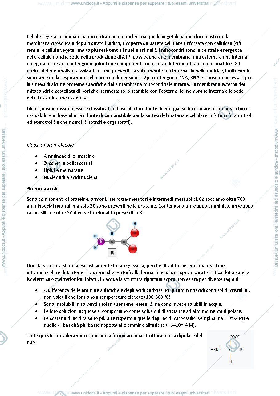Anteprima pagina 2 — riassunti di chimica biologica