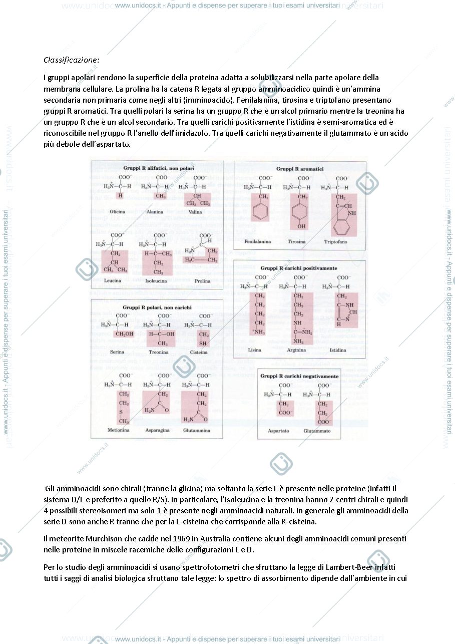 Anteprima pagina 3 — riassunti di chimica biologica