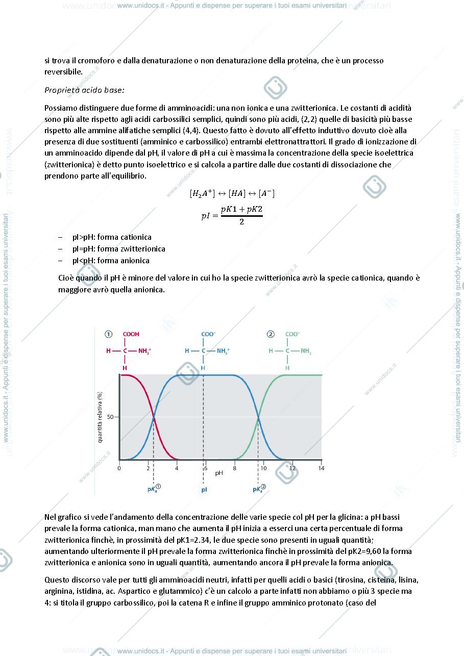 Anteprima pagina 4 — riassunti di chimica biologica