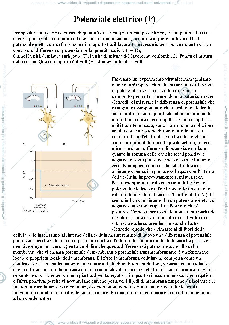 Anteprima pagina 1 — Potenziale elettrico di una cellula