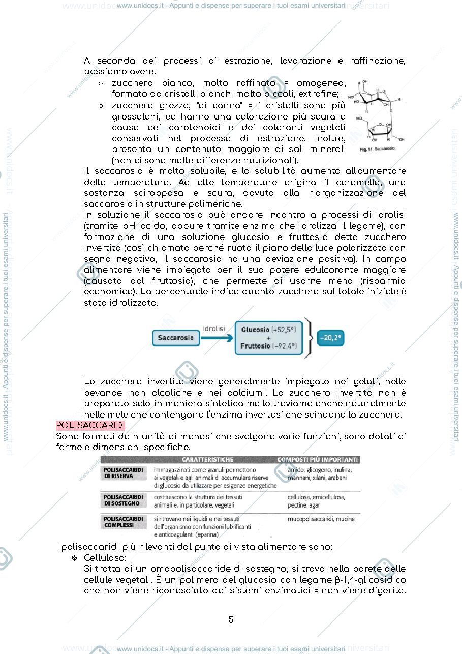 Anteprima pagina 5 — Appunti completi di chimica degli alimenti - Prof.ssa Bertazzo
